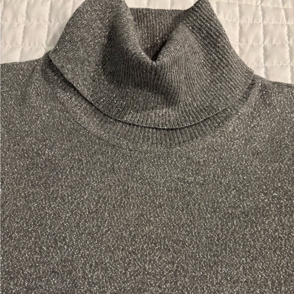 Calvin Klein Shimmering Silver Turtleneck. 
Generous Medium. Nice weight.